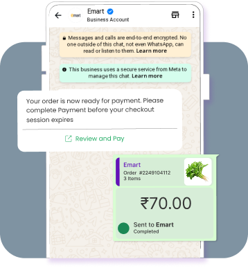 Native Payments